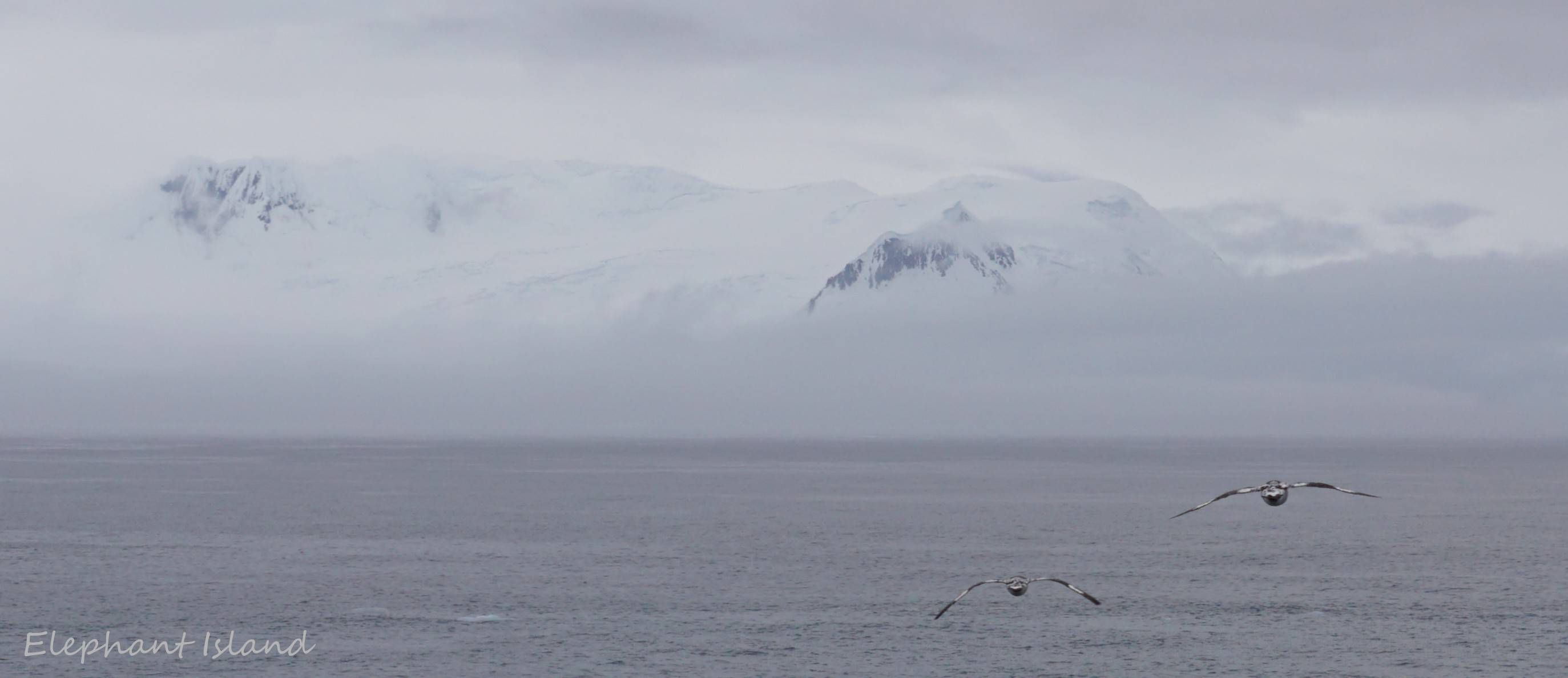 Elephant Island